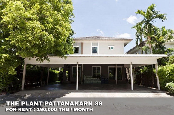 (เช่า) FOR RENT THE PLANT PATTANAKARN / 4 beds 4 baths / 83 Sqw.**190,000** CLOSE ARL HUAMARK รูปที่ 1