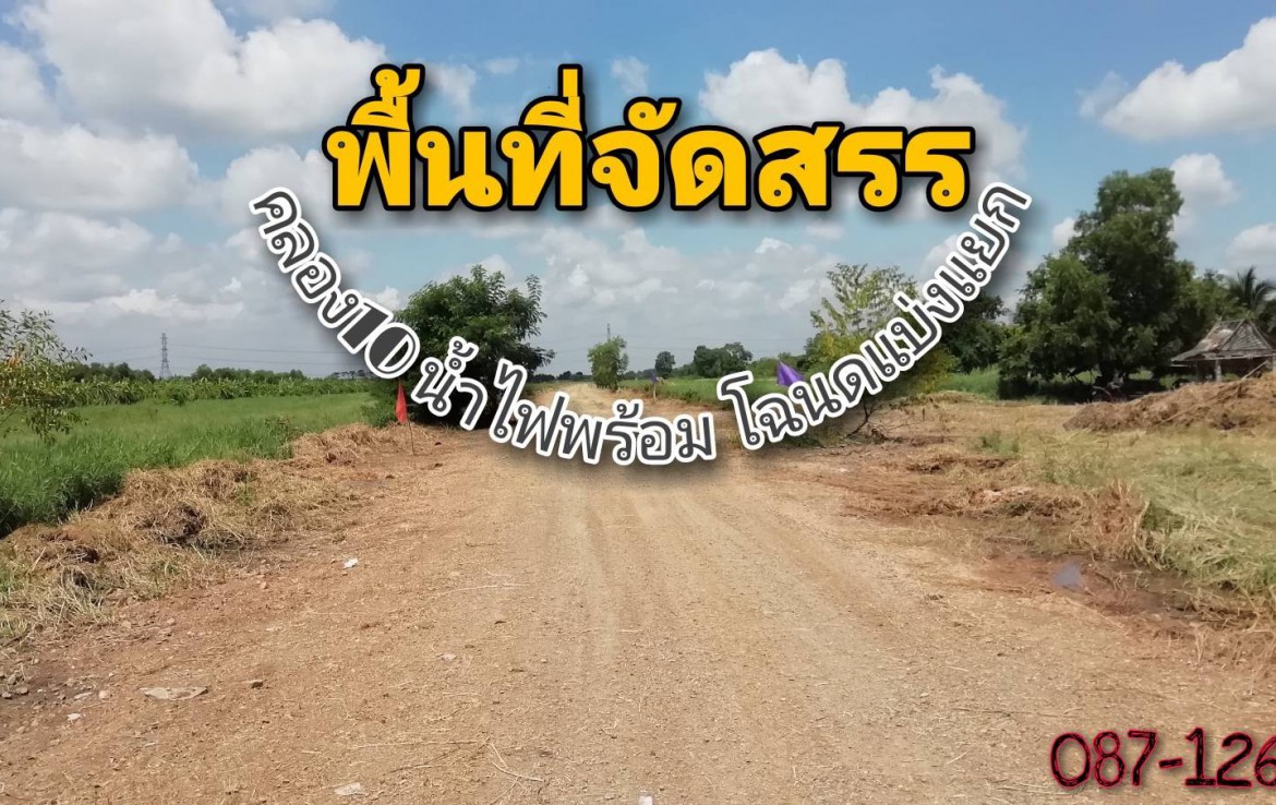 ขายที่ดินจัดสรรปทุมธานี หนองเสือ คลอง10 ตำบลบึงบาใต้ อำเภอหนองเสือ ปทุมธานี 200 ตร.ว  รูปที่ 1