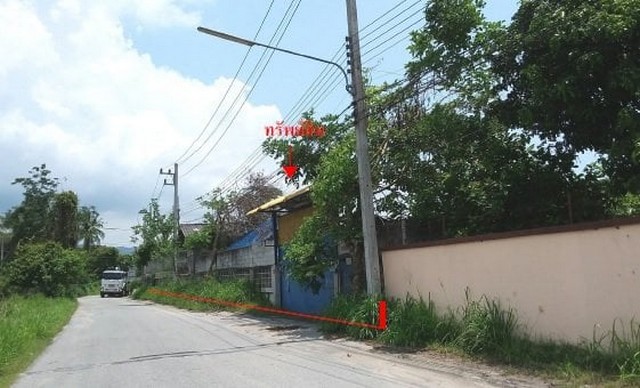 ขาย บ้านพร้อมกิจการ : เมืองชลบุรี (ชลบุรี) 0801532451 รูปที่ 1