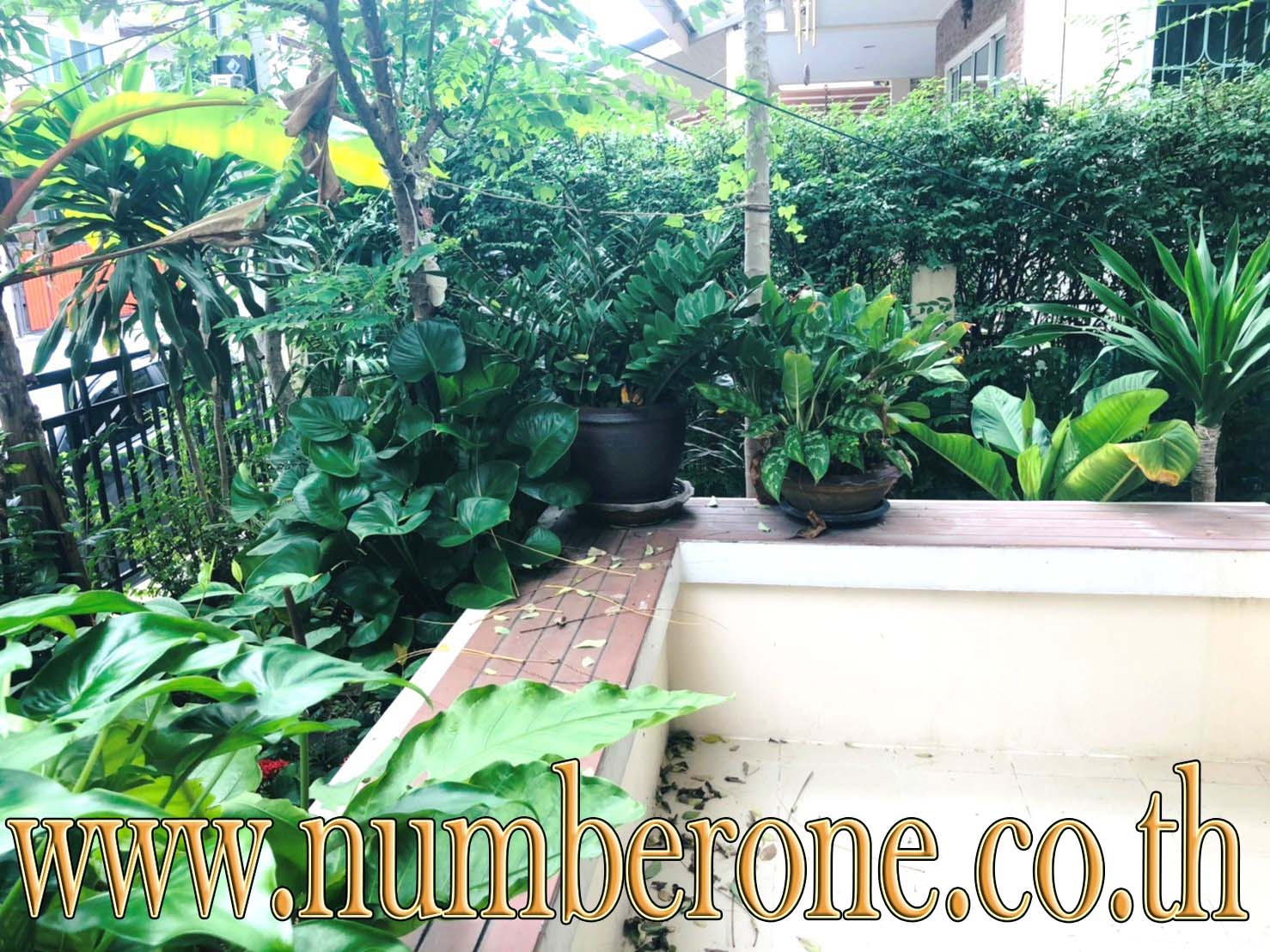 ขายและให้เช่าบ้านแฝดพร้อมอยู่ หมู่บ้านพัฒนาสิริ เดอะ ไพร์ด พหลโยธิน-ลำลูกกา ถนนลำลูกกา ขายถูก พร้อมจัดสินเชื่อให้ฟรี รูปที่ 6