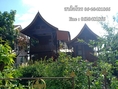 T00072ให้เช่าบ้านทรงไทย สันป่าตอง หางดง ราคาให้เช่า 8,000 บาท/เดือน