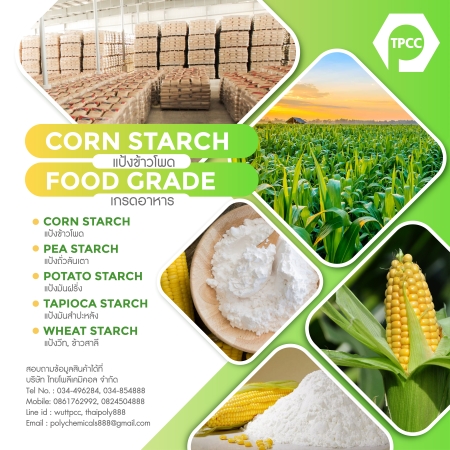 แป้งข้าวโพด, CORN STARCH, เมซสตาร์ช, MAIZE STARCH, คอร์นสตาร์ช, สตาร์ชข้าวโพด รูปที่ 1