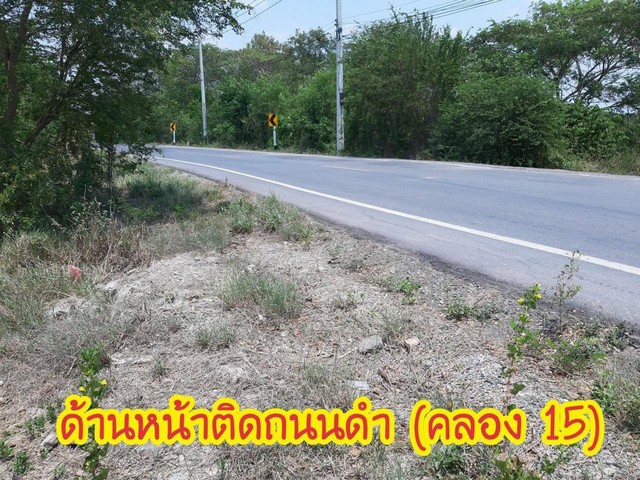 ที่ดินสวยบรรยากาศ​ดี ลำลูกกาคลอง15 ที่ดินหน้าติดถนน ด้านหลังติดคลอง​ ใกล้กรุงเทพฯ​เดินทาง​สะดวก​ รูปที่ 1