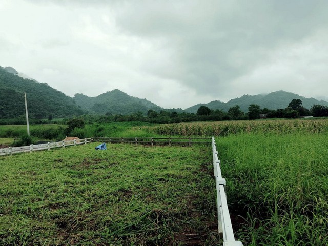 แบ่งขายที่ดินพร้อมสร้างบ้านที่เขาใหญ่​ บรรยากาศ​ดีมาก​ เงียบ​ สงบ​ ธรรมชาติ​สุดๆ รูปที่ 1