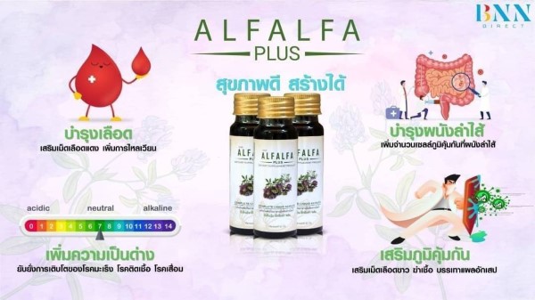 BNN ALFALFA Plus คลอโรฟิลล์น้ำเข้มข้น ช่วยขับล้างสารพิษในร่างกายเสริมสร้างภูมิคุ้มกันโรค รูปที่ 3
