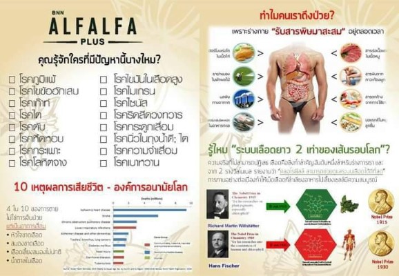 BNN ALFALFA Plus คลอโรฟิลล์น้ำเข้มข้น ช่วยขับล้างสารพิษในร่างกายเสริมสร้างภูมิคุ้มกันโรค รูปที่ 4