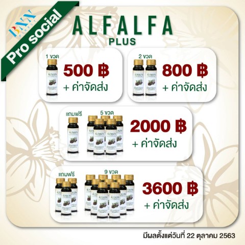 BNN ALFALFA Plus คลอโรฟิลล์น้ำเข้มข้น ช่วยขับล้างสารพิษในร่างกายเสริมสร้างภูมิคุ้มกันโรค รูปที่ 5