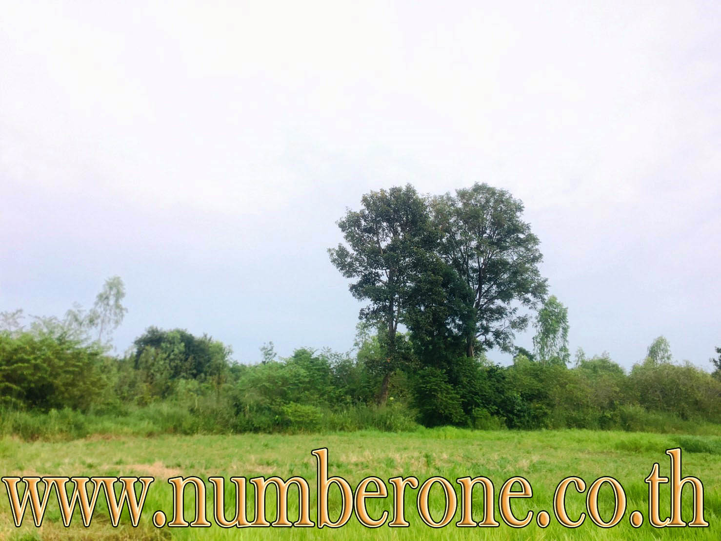 https://bankumka.com/property/605fb1dc0da36e8 รูปที่ 7