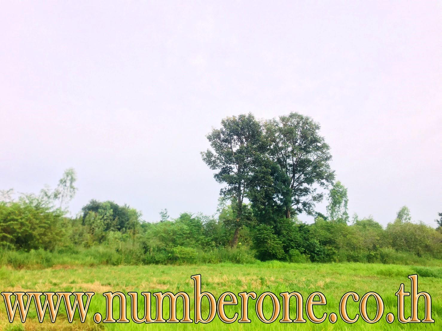 https://bankumka.com/property/605fb1dc0da36e8 รูปที่ 6