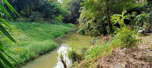 ขายที่ดินถม 136 ตร-ว. ติดลำน้ำร่องขุ่น ใกล้เมืองแหล่งชุมชน เดินทางสะดวก ในอำเภอดอยสะเก็ด เชียงใหม่ รูปที่ 1