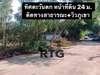 รูปย่อ ขายที่ดิน 310 ตร.ว. แปลงมุม ติดทางสาธารณะ 3 ด้าน รูปที่5