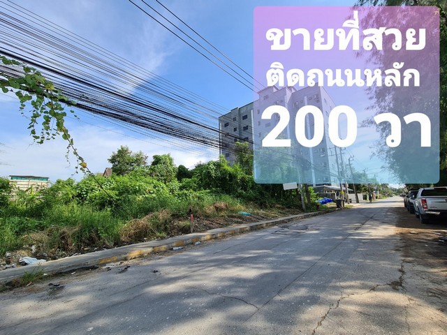 ขายที่ดิน ศรีด่าน 22 แปลงสวย หน้ากว้าง ติดถนนซอย ใกล้ โรงเรียนนานาชาติสิงคโปร์ รูปที่ 1