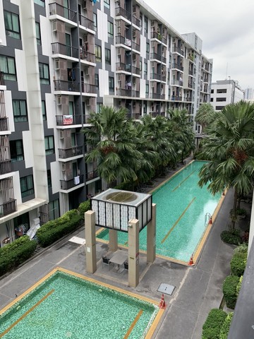 รหัสC3675 ขายคอนโด I Condo สุขุมวิท105 มีชั้น4และชั้น5 วิวสระน้ำ ห้องมุม รูปที่ 1