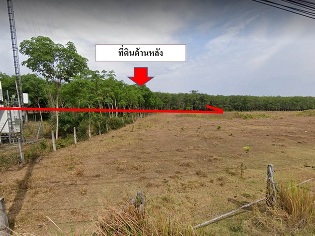 ขายที่ดินซอยธัญญะปุระ 25ไร่  ตะเคียน ถลาง  ภูเก็ต  ใกล้ธัญญะปุระ   รูปที่ 1