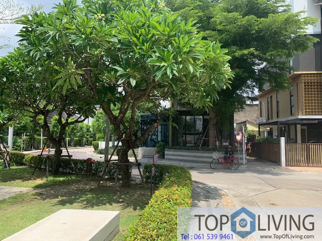 Unfurnished Townhome for rent 4 beds 4 baths at Flora Marigold by Narai  รูปที่ 1