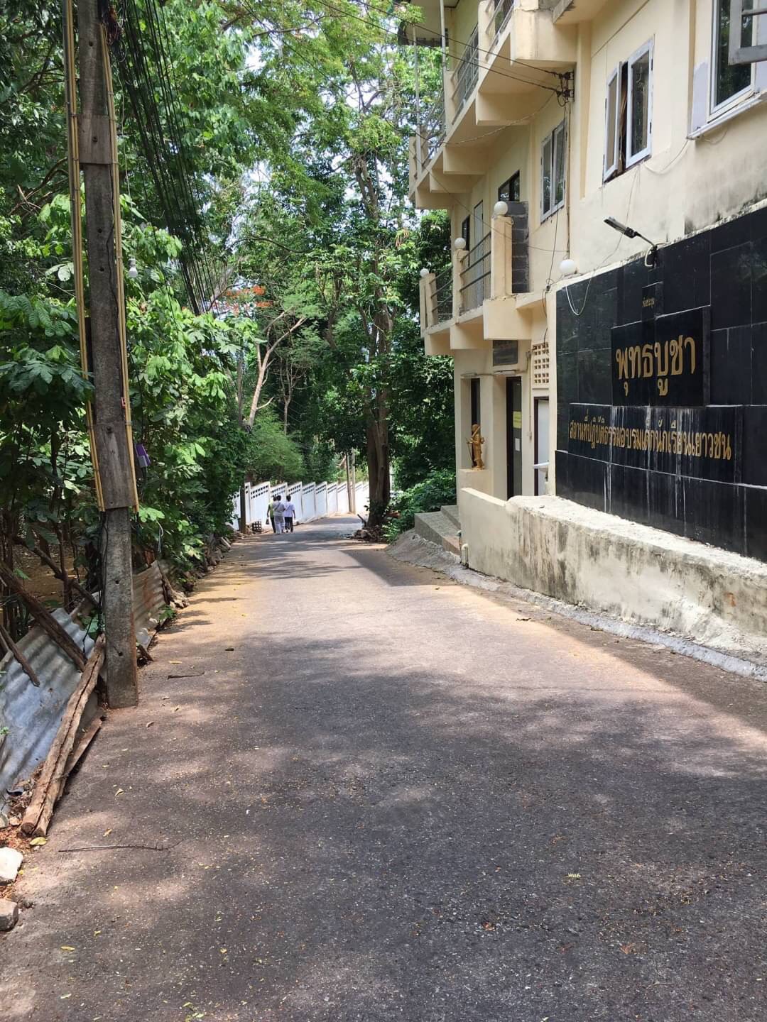 ขายที่ดิน 219 วาข้างวัดพุทธโคดม ชลบุรี 9.5 ล้านบาท รูปที่ 4