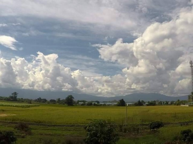 ขายที่ดินนา หลังบ้านเอื้ออาทร ต.หนองหาร เหมาแก่การลงทุน บรรยากาศดี เดินทางสะดวก ในอำเภอสันทราย  รูปที่ 1