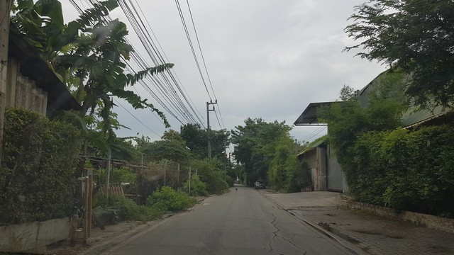 ขายที่ดิน 1ไร่ 48 วา ใกล้ รถไฟฟ้าแบริ่ง แปลงสวย ถูกที่สุดในย่านนี้ รูปที่ 1