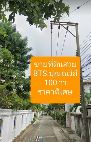 ขายที่ดิน 100 วา วชิรธรรมสาธิต 101 1 ใกล้ bts อุดมสุข แปลงสวย บรรยากาศดี เหมาะสร้างบ้าน รูปที่ 1