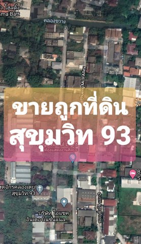 ขายที่ดิน สุขุมวิท 93 ขนาด 102 วา แปลงสวย ใกล้ bts บางจาก ราคาจับต้องได้  รูปที่ 1