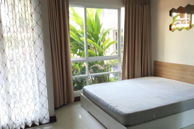 ให้เช่าคอนโด เอมเมอรัลด์ เทอเรซ [Emerald Terrace] 1 Bed 1 ห้องน้ำ ชั้น 1 พื้นที่ 28 ตรม. รูปที่ 1