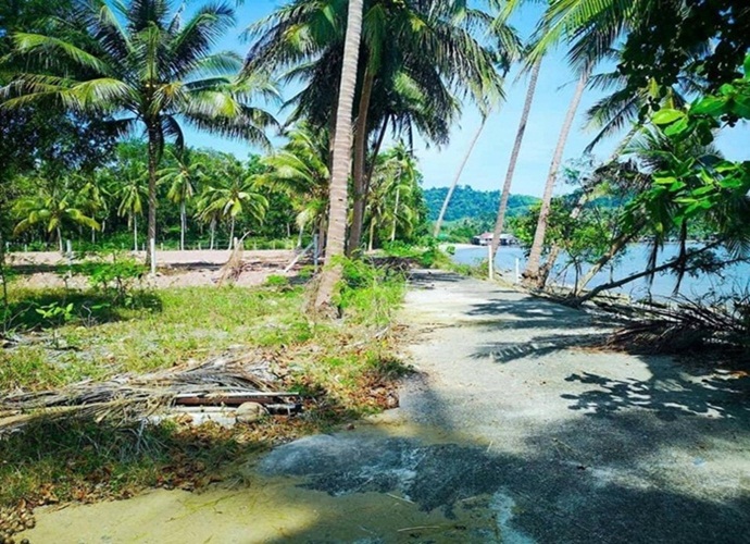 ขายที่ดินสวย ติดทะเล ติดถนน อ. หลังสวน จ. ชุมพร รูปที่ 4