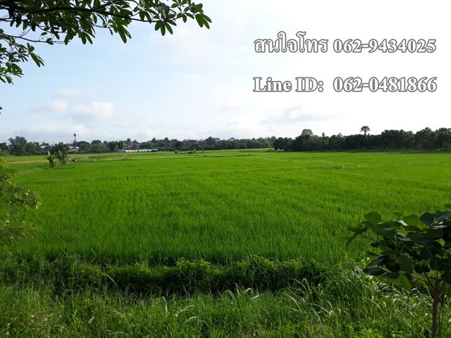 T00225 ต้องการขายที่ดินแปลงสวย ด้านหน้าติดถนนสายหลัก 108 เชียงใหม่ - ฮอด ขายรวม 59 ล้านบาท รูปที่ 1