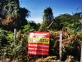 ขาย ที่ดิน ปากแรต5 บ้านโป่ง ราชบุรี ขนาด 100 วา แหล่งชุมชน ขายถูก 