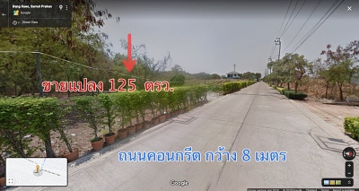 ขายที่ดิน 125 ตรว. ศรีด่าน22 ศรีนครินทร์ บางนา  สมุทรปราการ แปลงมุม เหมาะอยู่อาศัย ทำร้านสะดวกซื้อ   รูปที่ 1