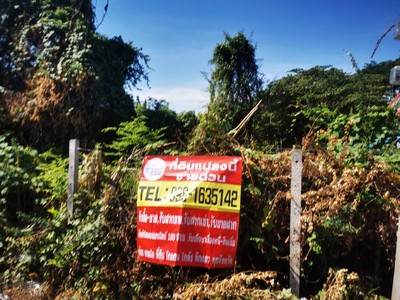 ขาย ที่ดิน ปากแรต5 บ้านโป่ง ราชบุรี ขนาด 100 วา แหล่งชุมชน ขายถูก  รูปที่ 1