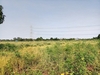รูปย่อ ขาย ที่ดิน คลองสิบสอง ธัญบุรี 2 ไร่ ห่างรังสิต-นครนายกแค่ 700 เมตร เหมาะปลูกบ้าน หรือทำสวนเกษตร รูปที่3