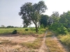 รูปย่อ ขาย ที่ดิน คลองสิบสอง ธัญบุรี 2 ไร่ ห่างรังสิต-นครนายกแค่ 700 เมตร เหมาะปลูกบ้าน หรือทำสวนเกษตร รูปที่1