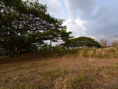 ขาย ที่ดิน เขาใหญ่ โบนันซ่า 2 ไร่ เหมาะทำบ้านพักตากอากาศ วิวภูเขาสวย บรรยากาศดีมาก รูปที่ 1