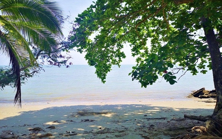 ขายที่ดินสวยติดทะเล ติดถนน อ. หลังสวน จ. ชุมพร รูปที่ 6