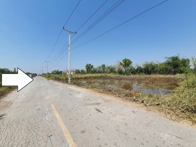 ขายที่ดินหนองเสือ คลอง11 ขนาด 200 ตรว  ติดถนนลาดยาง น้ำไฟครบ เหมาะสร้างบ้าน ทำเกษตรพอเพียง  รูปที่ 1