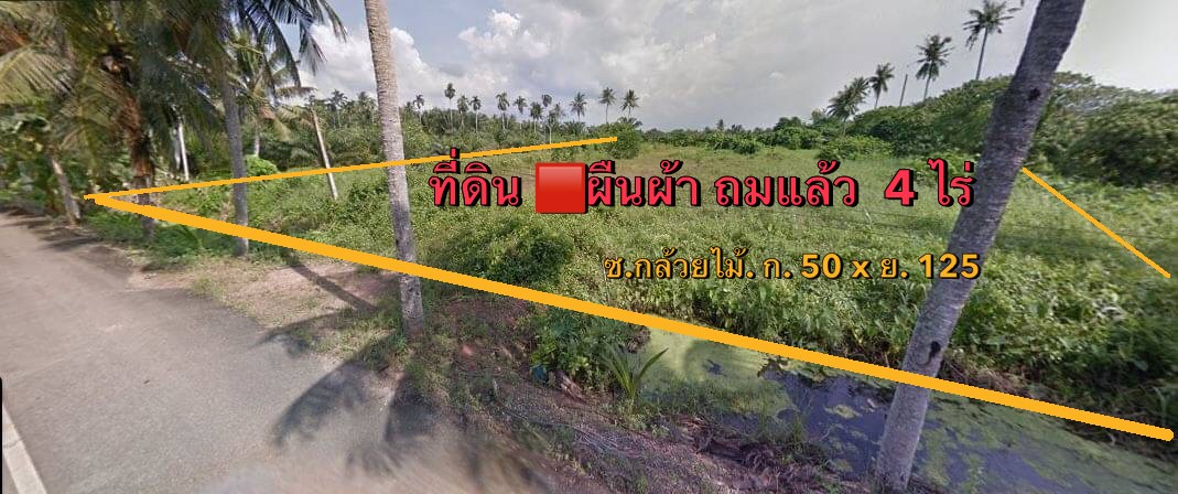 ขายที่ดิน 8 ไร่ ต.คลองน้อย อ.เมือง จ.สุราษฎร์ ราคาถูก รูปที่ 1