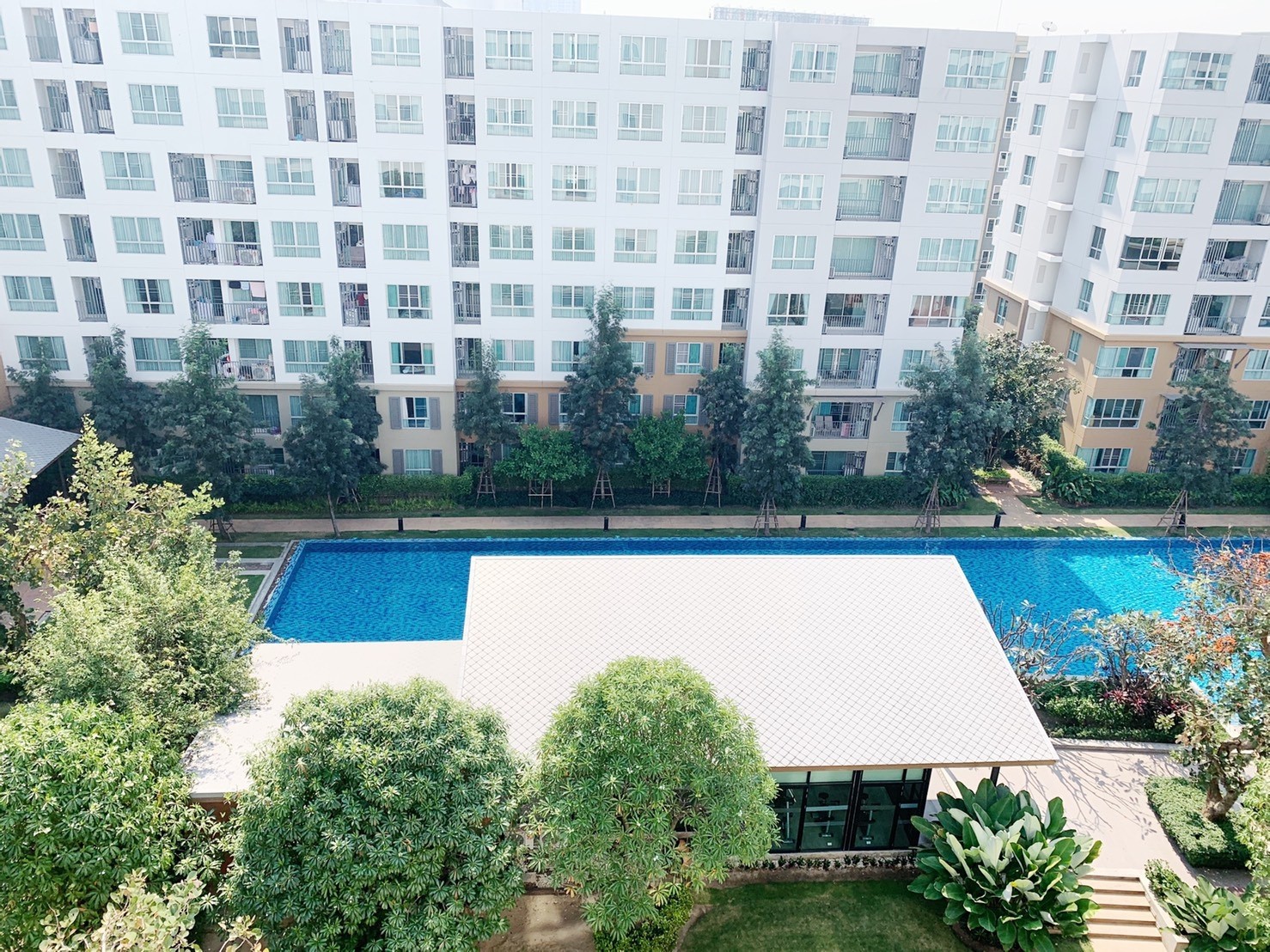 C35CHK ขายราคาพิเศษสุดๆ D Condo Nim คอนโดติดห้างเซนทรัลเฟสติวัล วิวสระว่ายน้ำ โทร 082-389-9314 รูปที่ 1