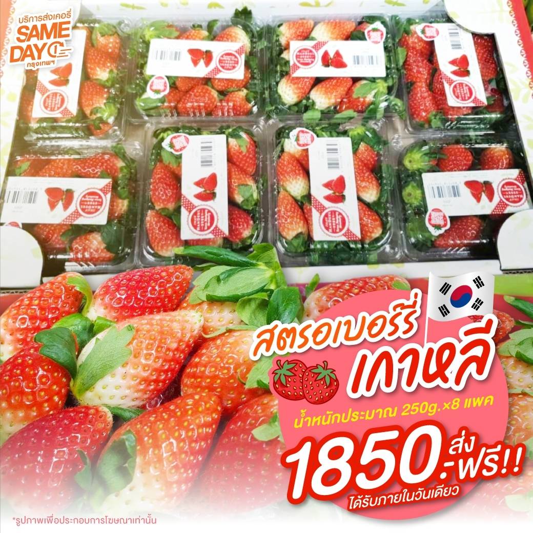 สตรอเบอร์รี่ ลูกโต ส่งตรงจากเกาหลี-ญี่ปุ่น รูปที่ 7