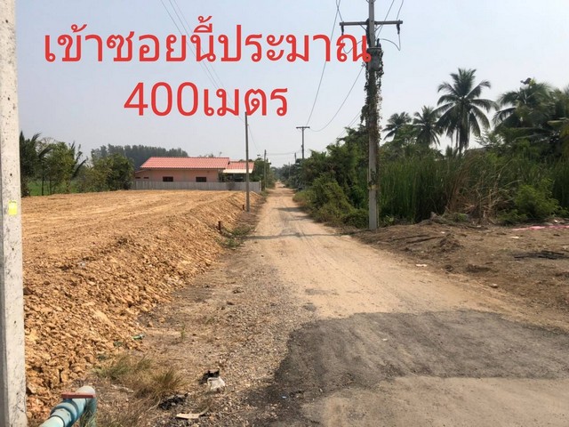 ด่วนที่ดินคลอง 9 หนองเสือ ปทุม 50 ตรว 250000 บาท มีทั้งหมด 6 ล็อก โฉนดแบ่งแยกพร้อมโอนแล้ว  รูปที่ 1