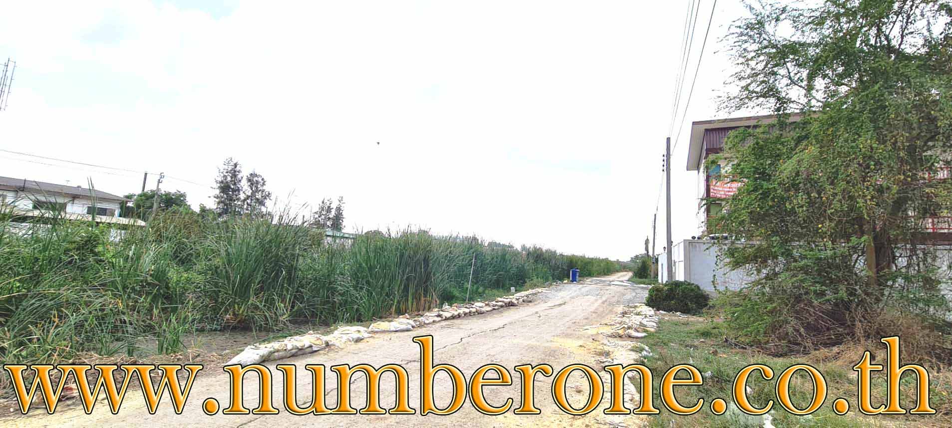 ขายที่ดินในหมู่บ้านจิตรัตนา ถนนบางบัวทอง-สุพรรณบุรี ขายถูก ต่อรองได้ สนใจ ติดต่อคุณกุ้ง 083-686-4440 รูปที่ 7