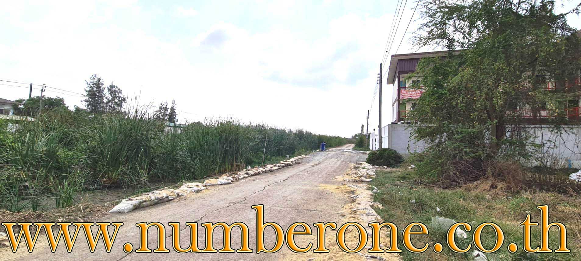 ขายที่ดินในหมู่บ้านจิตรัตนา ถนนบางบัวทอง-สุพรรณบุรี ขายถูก ต่อรองได้ สนใจ ติดต่อคุณกุ้ง 083-686-4440 รูปที่ 3