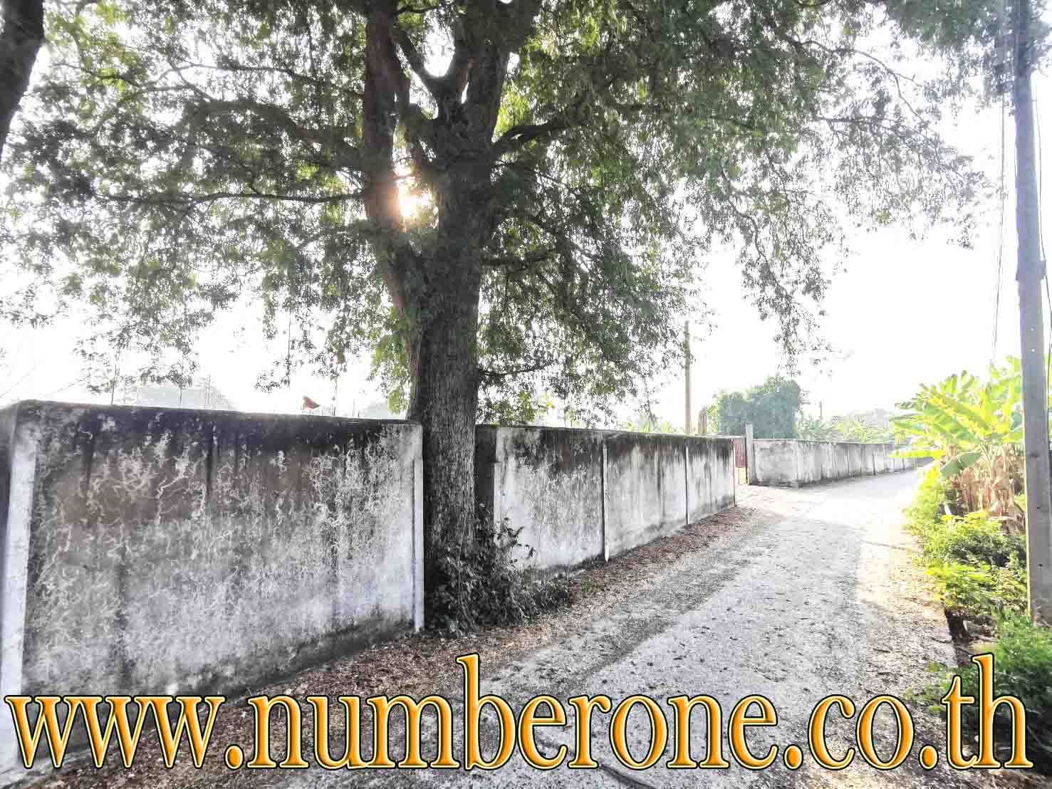 ขายด่วนที่ดินน่าลงทุน ถนนบ้านนา-แก่งคอย บ้านนา นครนายก รูปที่ 5
