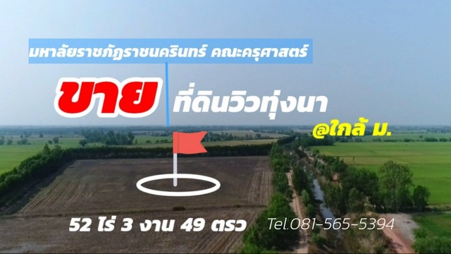 ขายที่ดินวิวทุ่งนา ใกล้ มหาลัยราชภัฏราชนครินทร์ คณะครุศาสตร์ ราชสาสน์ ฉะเชิงเทรา 52 ไร่ 3 งาน 49 ตรว รูปที่ 1