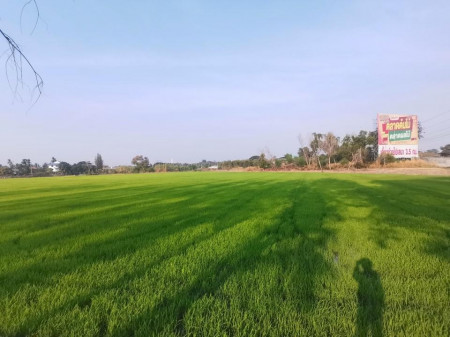 ขาย ที่ดิน ปทุมธานี ติดถนนกาญจนาภิเษก 18 ไร่ 80 ตร.วา ที่ดินอยู่ช่วงสัญจรไปมา ปทุมธานี - อยุธยา รูปที่ 3
