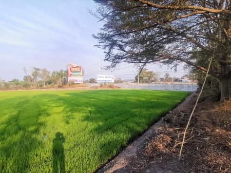 ขาย ที่ดิน ปทุมธานี ติดถนนกาญจนาภิเษก 18 ไร่ 80 ตร.วา ที่ดินอยู่ช่วงสัญจรไปมา ปทุมธานี - อยุธยา รูปที่ 5