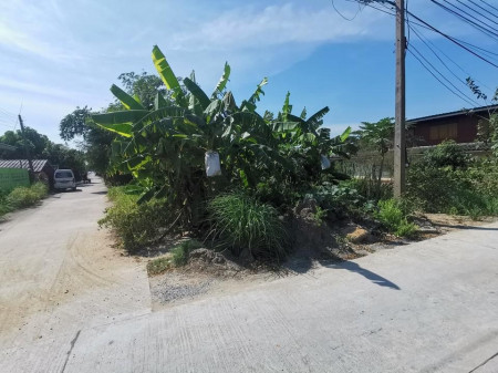 ขาย ที่ดิน อยู่ในแหล่งประชากรอยู่อาศัย ที่ดินปทุมธานี 1 ไร่ 3 งาน 91 ตร.วา น้ำไม่ท่วม รูปที่ 4