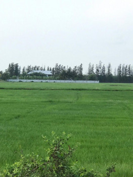[Duplicate]ขาย  ที่ดิน บ้านเดี่ยวพร้อมที่ดิน 4ไร่ 1งาน 97ตรว  . รูปที่ 4