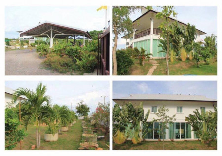 [Duplicate]ขาย  ที่ดิน บ้านเดี่ยวพร้อมที่ดิน 4ไร่ 1งาน 97ตรว  . รูปที่ 5