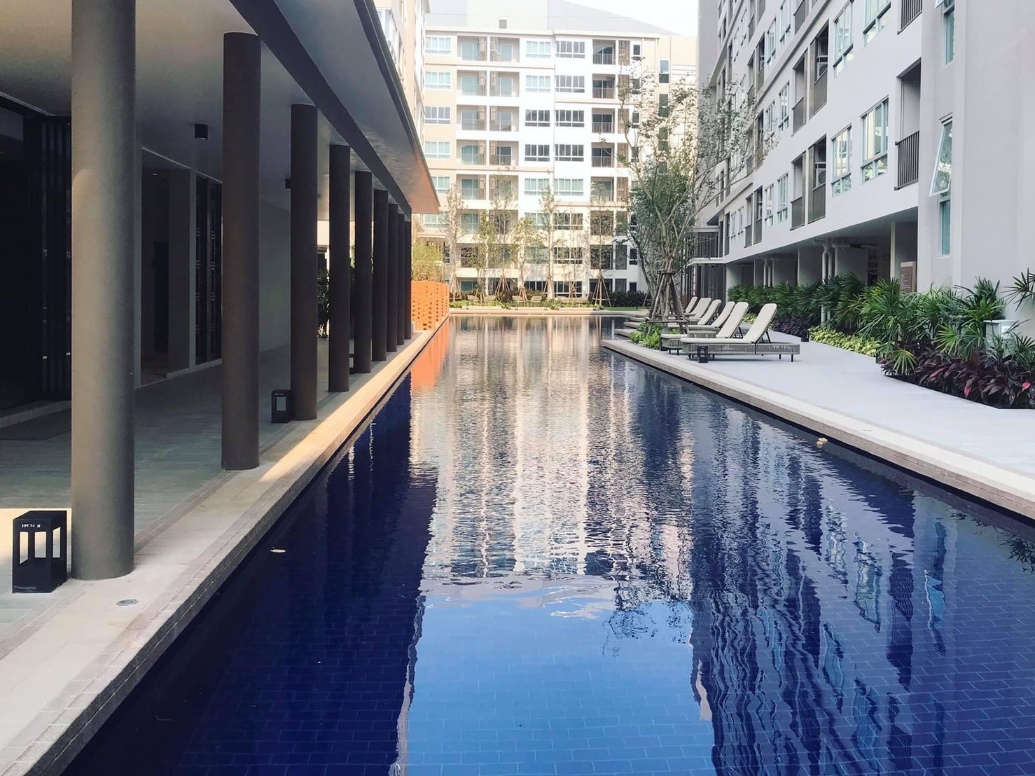 C239JP ให้เช่า D condo Rin 10,000 บาท (สัญญา1ปี) เฟอร์ครบ พร้อมเข้าอยู่ รูปที่ 1