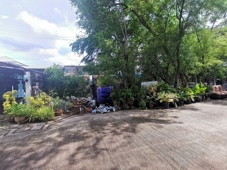 ให้เช่าที่ดิน ต.บางแก้ว อ.บางพลี ห่างจาก โลตัสบางนา 1.8 กม. เขตถนนกว้าง 5.2 ม. รูปที่ 3